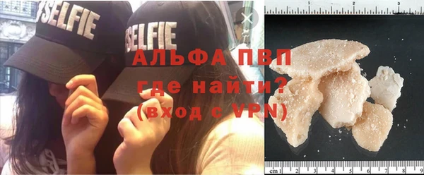 сатива Белокуриха