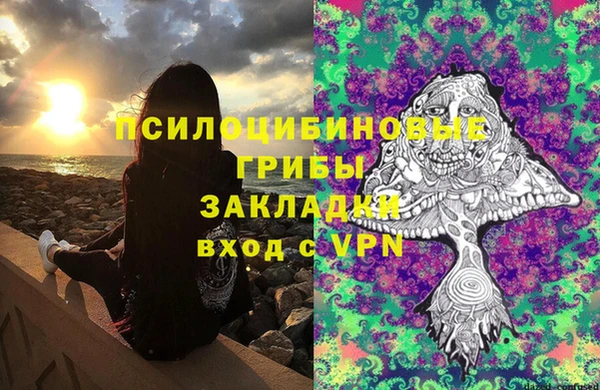 сатива Белокуриха