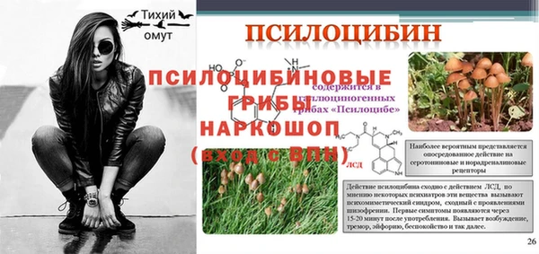 гидра Белоозёрский